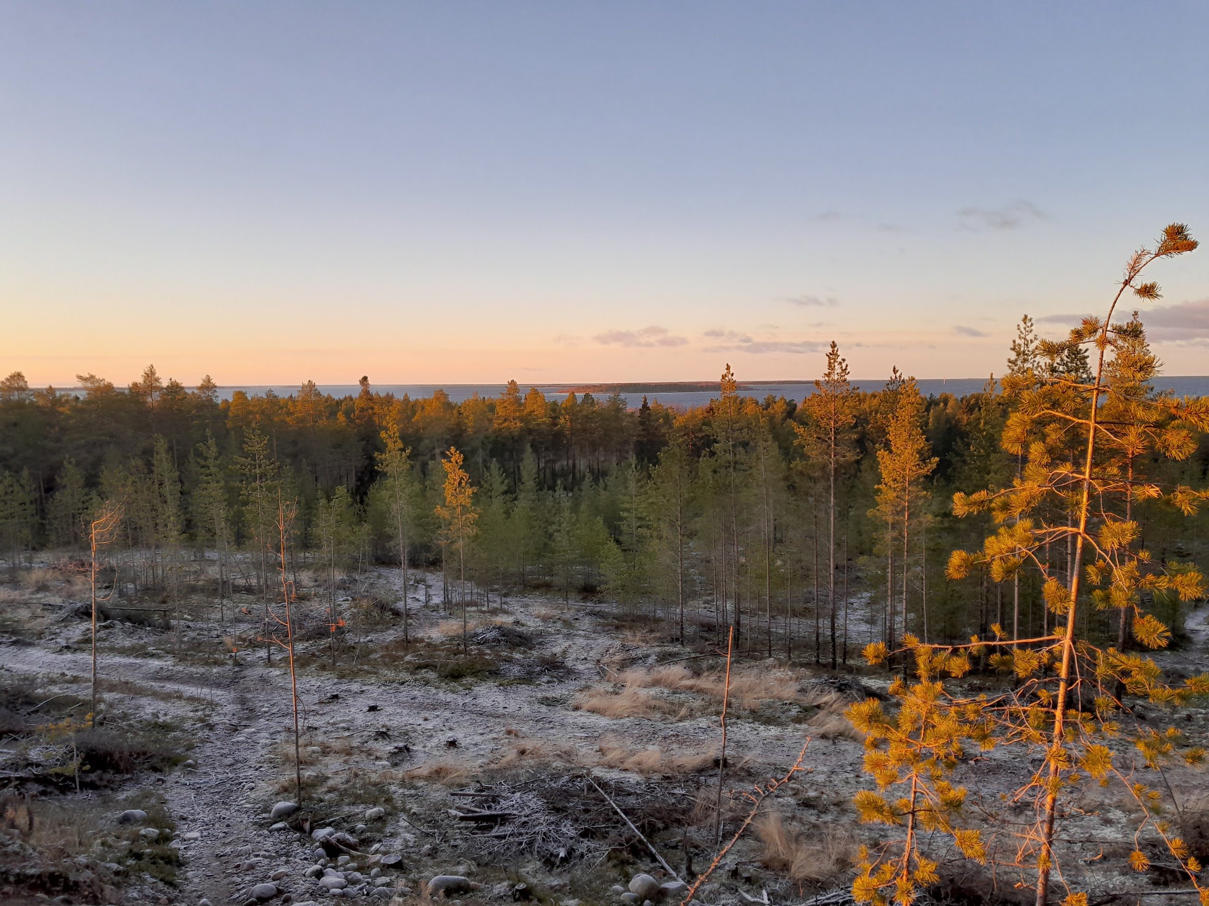 Runteli Lean-to Shelter (Runtelin laavu)